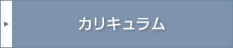 カリキュラム