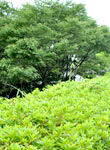 2012�N�t�~