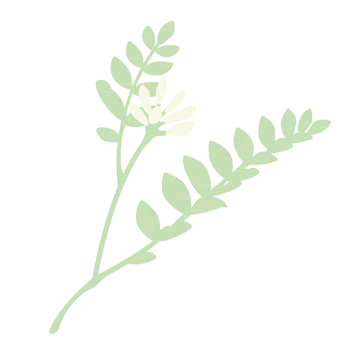 �A�J�o�i�Ȑ}��