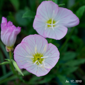 �q���U�L�c�L�~�\�E