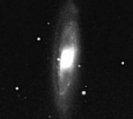 NGC3623(M65)