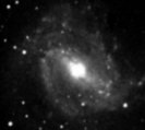 NGC5236