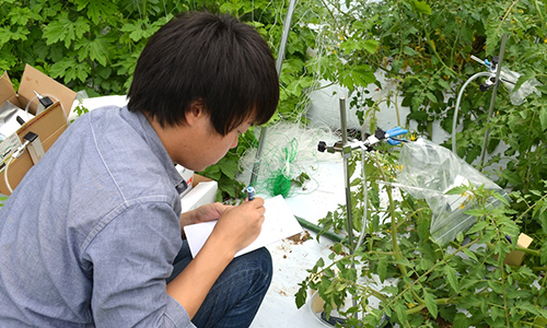 自然科学コースとは