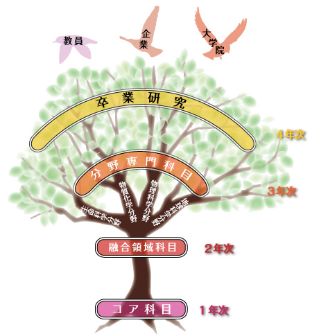 自然研究専攻カリキュラム