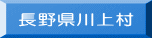 長野県川上村