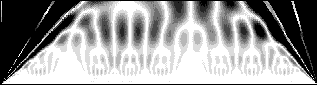 CWT of Koch