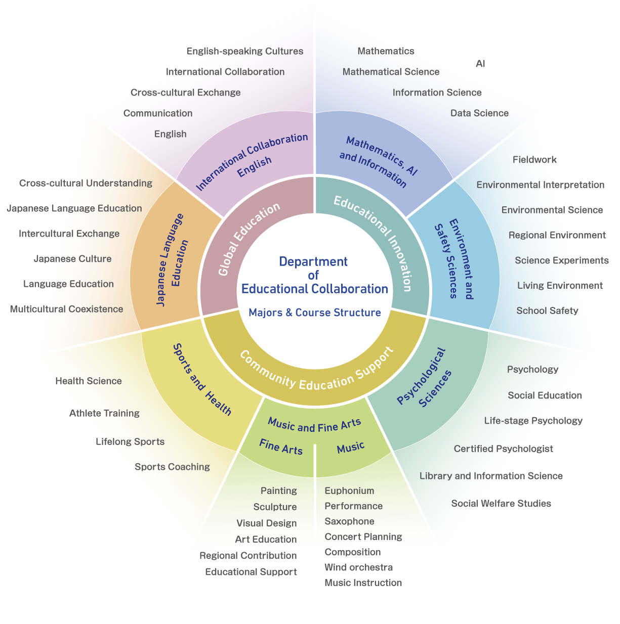 国立大学法人大阪教育大学教育协作学科结构