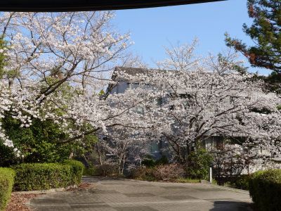 新入生のみなさん、ご入学おめでとうございます