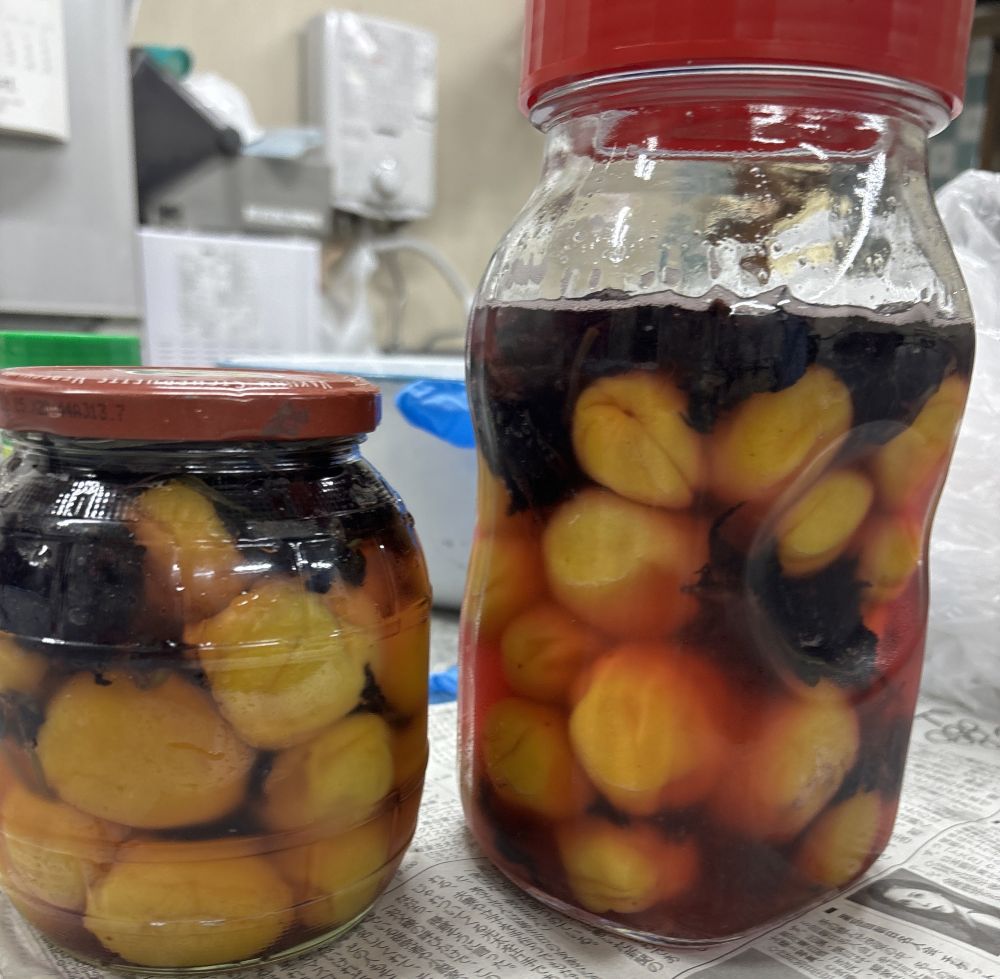 食物ゼミで梅シロップ＆梅干しづくり