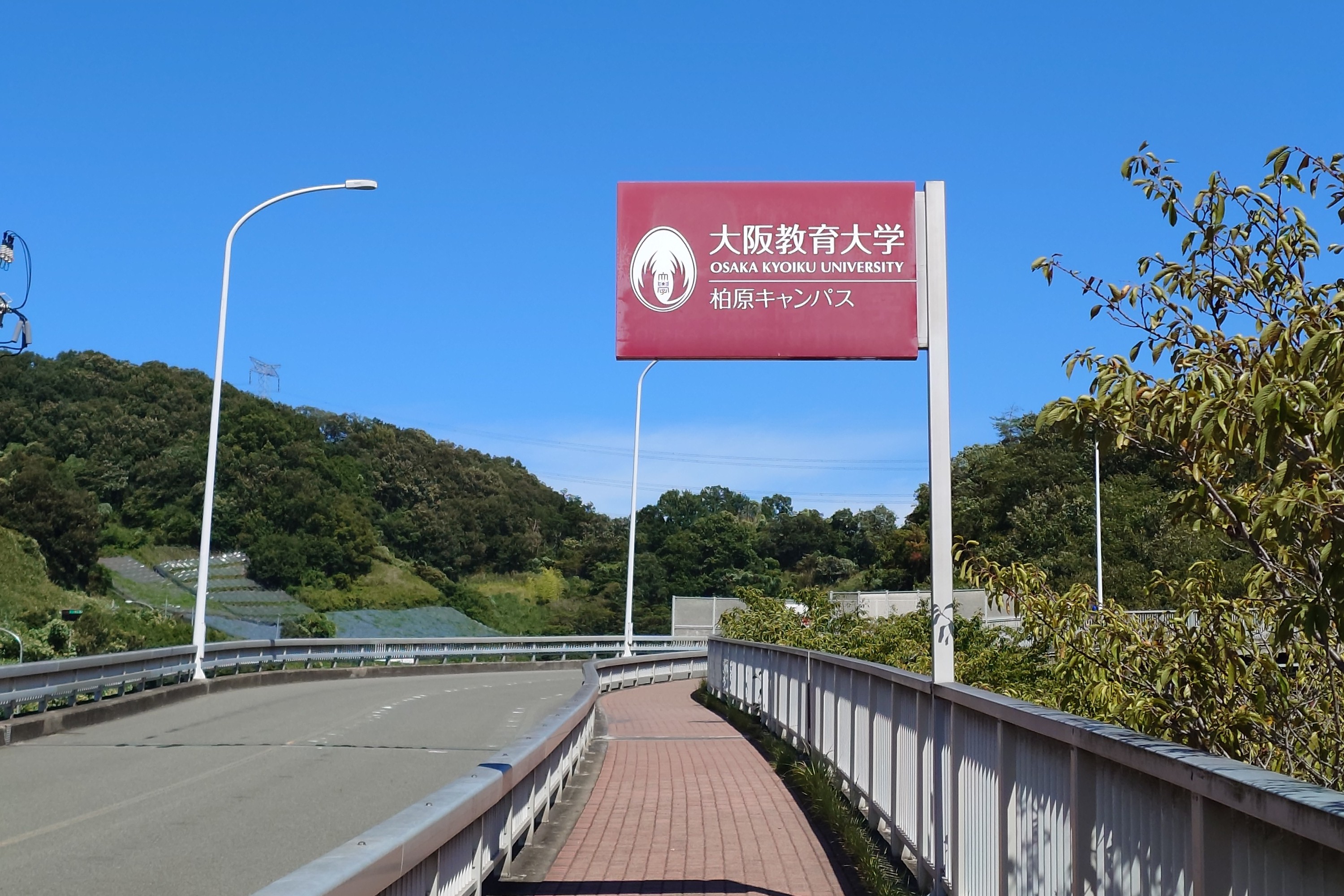 いよいよ４回生スタートです！