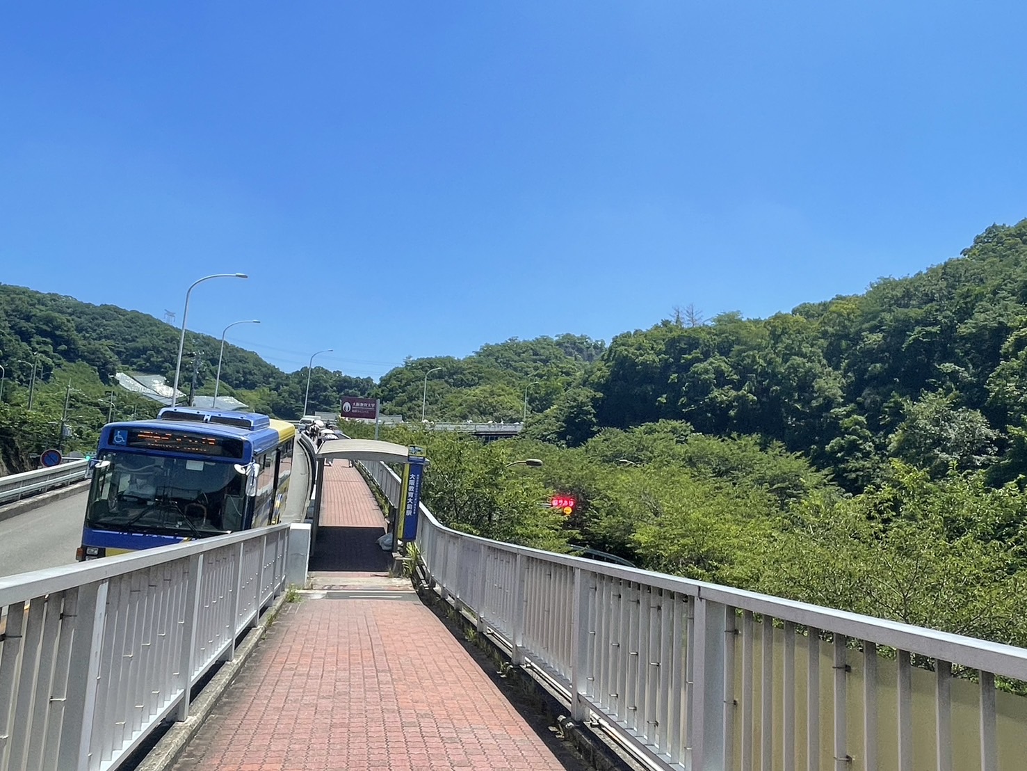 夏休みまでもう少し…！