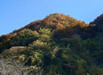 嬉しい話を聞きました(^^♪