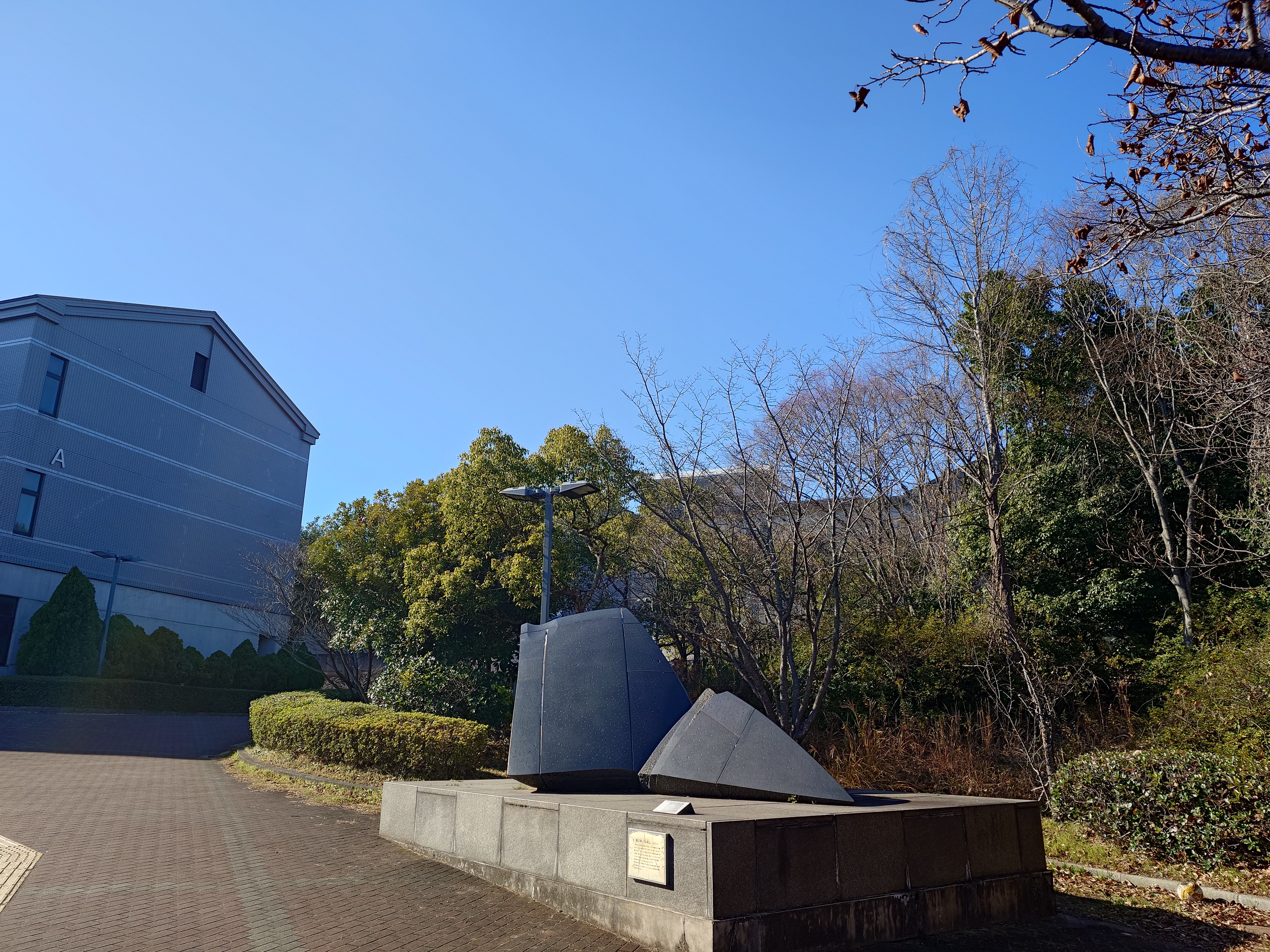 自然豊かな大学