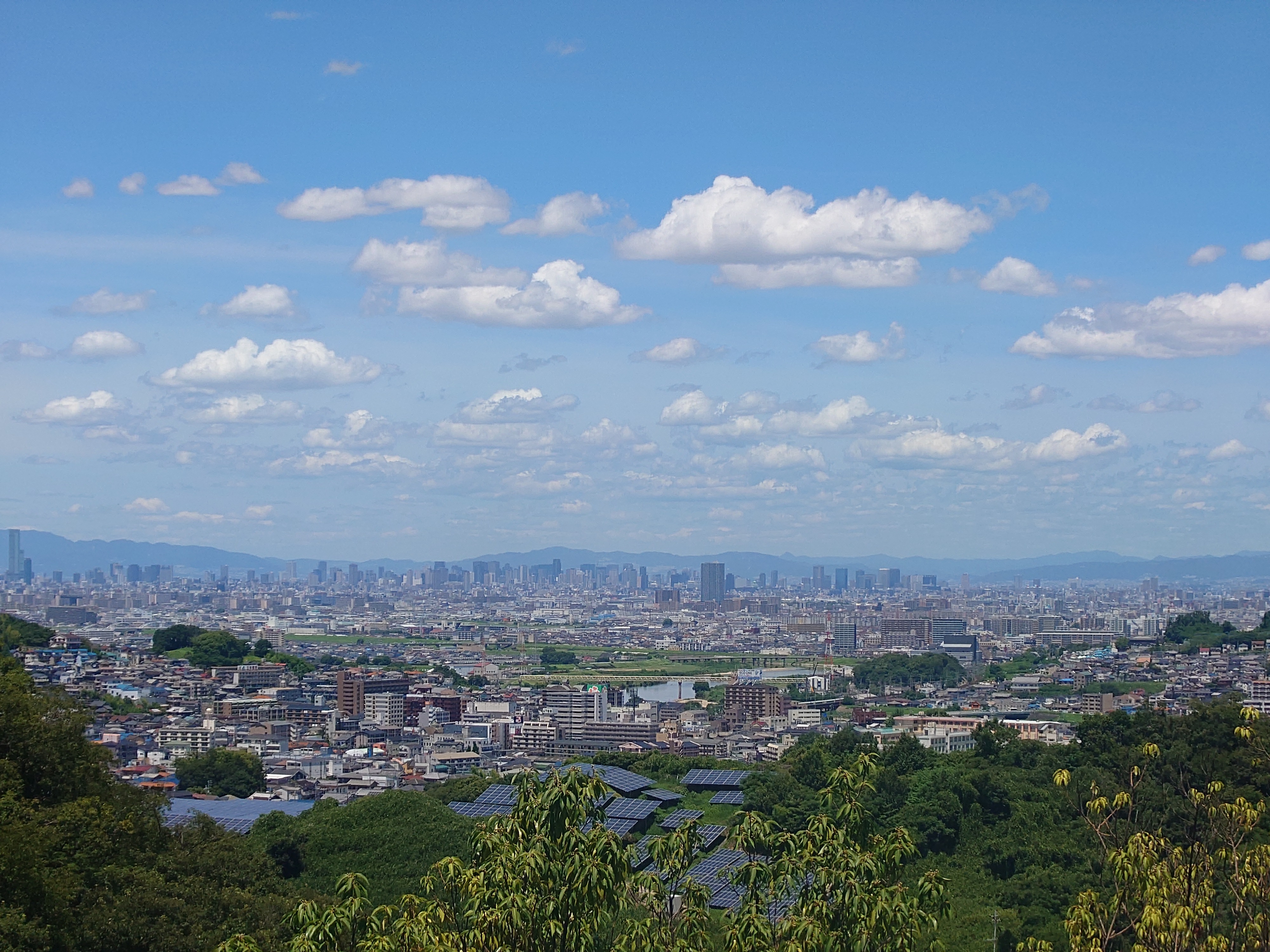 夏のひざし