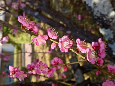 春休みを迎えて