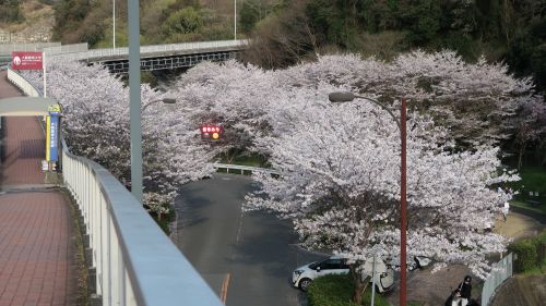春休みももうすぐ終わりです…